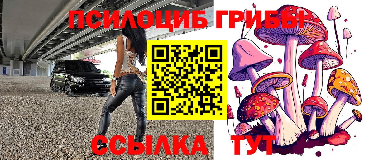Псилоцибиновые грибы Magic Shrooms  Вход с VPN  Псилоцибиновые грибы прущие грибы  Ленинск-Кузнецкий 